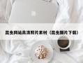 新昌昆虫网站高清照片素材（昆虫图片下载）